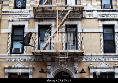 New York, États-Unis. 31 mars 2023. Daily Life, New York, États-Unis. Crédit : Nidpor/Alamy Live News Banque D'Images