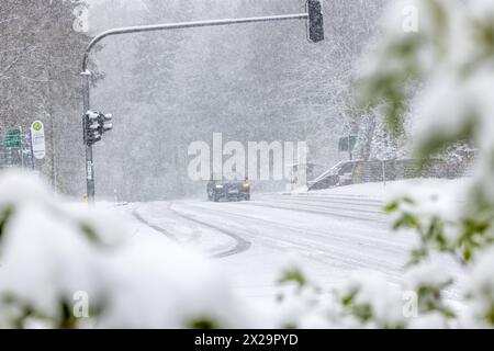 Schneefälle im Taunus Starke Schneefälle haben im Taunus am Vormittag zu erheblichen Behinderungen geführt. Rund um den Großen Feldberg im Taunus fielen in wenigen Stunden knapp 10 cm Schnee., Schmitten Hessen Deutschland *** chutes de neige dans le Taunus de fortes chutes de neige dans le Taunus ce matin ont provoqué des obstacles considérables autour du Großer Feldberg dans le Taunus, presque 10 cm de neige sont tombés en quelques heures, Schmitten Hessen Allemagne Banque D'Images