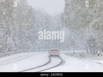 Schneefälle im Taunus Starke Schneefälle haben im Taunus am Vormittag zu erheblichen Behinderungen geführt. Rund um den Großen Feldberg im Taunus fielen in wenigen Stunden knapp 10 cm Schnee., Schmitten Hessen Deutschland *** chutes de neige dans le Taunus de fortes chutes de neige dans le Taunus ce matin ont provoqué des obstacles considérables autour du Großer Feldberg dans le Taunus, presque 10 cm de neige sont tombés en quelques heures, Schmitten Hessen Allemagne Banque D'Images