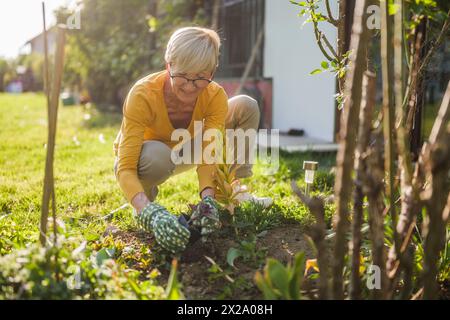 Heureuse femme âgée jardinant dans sa cour. Elle plante une fleur. Banque D'Images