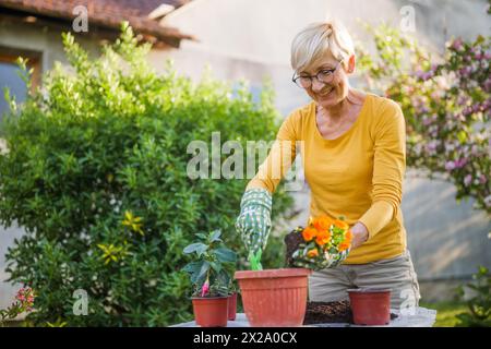 Heureuse femme âgée jardinant dans sa cour. Elle plante des fleurs. Banque D'Images