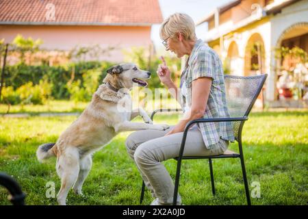 Femme âgée grongeant son chien Husky pendant qu'ils passent du temps dans la cour. Banque D'Images
