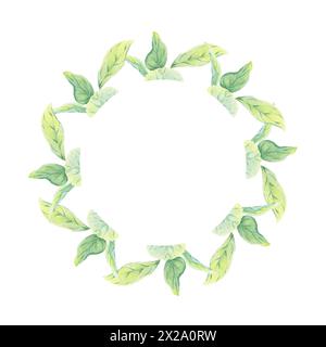 Couronne de feuilles vert pomme aquarelle illustration isolée sur fond blanc. Cadre d'automne pour logo, menu, carte. Art pour la conception saine manger vert Banque D'Images