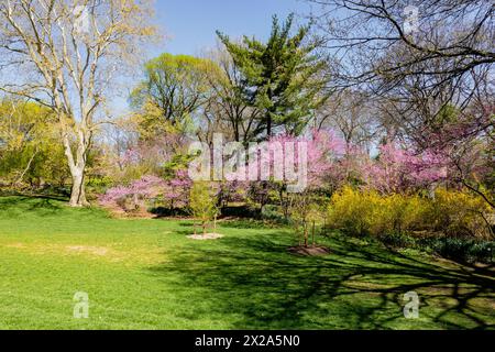 Central Park est une oasis urbaine publique à New York, USA 2024 Banque D'Images