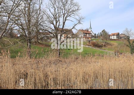 Impressionen aus Seegräben in der Schweiz Banque D'Images