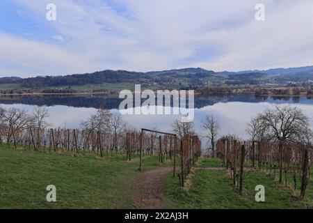 Impressionen aus Seegräben in der Schweiz Banque D'Images