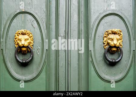 porte élégante avec frappeur de porte en forme de lion Banque D'Images