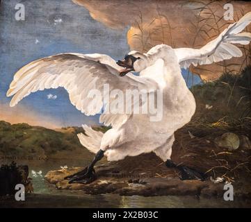 Le Cygne menacé, Jan Asselijn, huile sur toile, 1650, Amsterdam, pays-Bas Banque D'Images