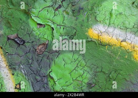 Mur en plâtre ondulé vert foncé avec des taches rondes vert clair et un accent jaune. La face cachée du monstre Banque D'Images