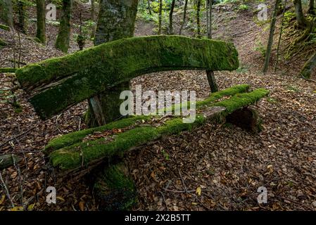 Banc vieilli, pourri et mousselé fait de planches de bois brut, feuilles d'automne, forêt de hêtres, Raumertswald, volcan, Vogelsberg Volcano région nature Banque D'Images