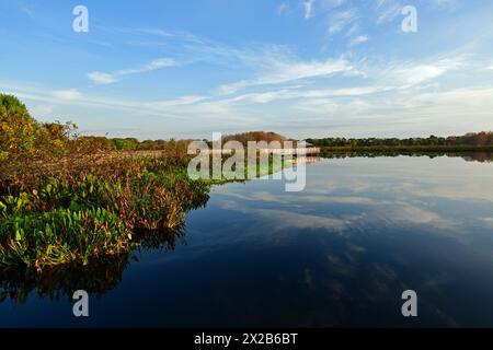 Promenade en bois et paysage nuageux au lever du soleil sur les zones humides construites du Green Cay nature Center à Boynton Beach, en Floride. Banque D'Images