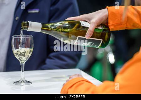 Verres de vin rouge, rosé et blanc sur une table | vin blanc, vin rouge ou verre rosé sur une table Banque D'Images