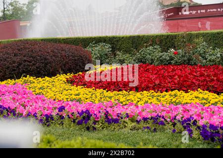 Chine, Pékin, Cité interdite, site du patrimoine mondial de l'UNESCO, parterres de fleurs colorées devant un fond flou avec une fontaine Banque D'Images