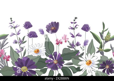 Vecteur floral modèle sans couture, frontière. Camomille, gaillardia, sauge, romarin, quinoa Illustration de Vecteur