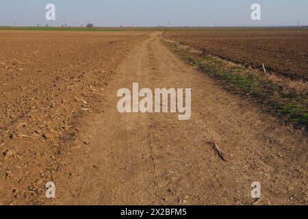 Les terres arables sont prêtes pour les travaux agricoles de printemps. Sillons du passage d'un tracteur ou d'une moissonneuse-batteuse. Semoule de maïs au sol. Sol fertile pour la plantation. Banque D'Images