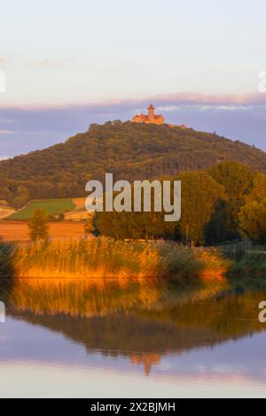 Veste Wachsenburg Die Veste Wachsenburg, häufig auch nur kurz Wachsenburg genannt, ist eine zu den Drei Gleichen gehörende mittelalterliche Gipfelburg. IM Laufe ihrer Geschichte wechselte die Burg häufig ihren Besitzer, wurde zerstört und häufig um- und ausgebaut : besonders 1900 bis 1913 zur Aufnahme der umfangreichen Wachsenburg-Sammlungen zur Heimat- und Heeresgeschichte. Letztere Ging 1946 verloren, das Heimatmuseum musste 1962 schließen. Heute dient die Wachsenburg, wie schon lange, als Ausflugsgaststätte, seit 1966 als Hotel, und sie beherbergt ein kleines, privat geführtes Museum. Wachse Banque D'Images