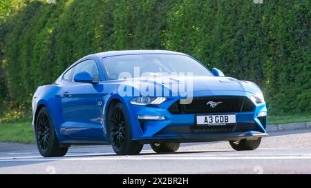 Bicester, UK- Apr 21st2024 : 2019 voiture classique Ford Mustang bleue conduisant sur une route britannique Banque D'Images