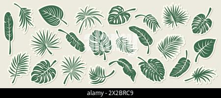 Ensemble d'icônes de silhouette de feuille tropicale de vecteur. Vecteur plat Monstera, Ficus, feuille de banane, Dracaena, feuilles de palmier Sabal, autocollants isolés. Modèles de conception Illustration de Vecteur