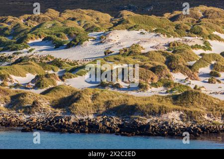 Yorke Bay, Port Stanley, Îles Falkland, Royaume-Uni Banque D'Images