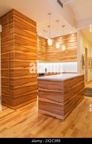 Armoires en bois de gommier et îlot avec comptoir en quartz blanc pur dans la cuisine avec parquet en bois d'érable et de cerisier à l'intérieur d'un luxueux condo rénové. Banque D'Images