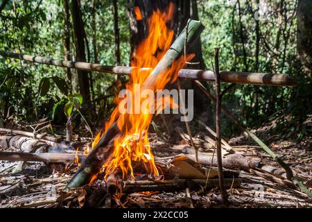 Soupe en cours de préparation dans un bambou dans une forêt près de la ville de Luang Namtha, Laos Banque D'Images