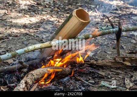 Soupe en cours de préparation dans un bambou dans une forêt près de la ville de Luang Namtha, Laos Banque D'Images