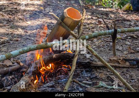 Soupe en cours de préparation dans un bambou dans une forêt près de la ville de Luang Namtha, Laos Banque D'Images