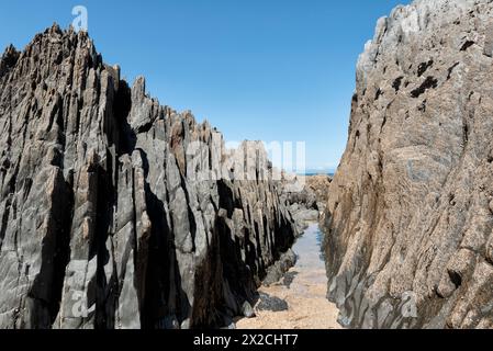 Formations rocheuses sur Barricane Beach, Devon, Royaume-Uni Banque D'Images