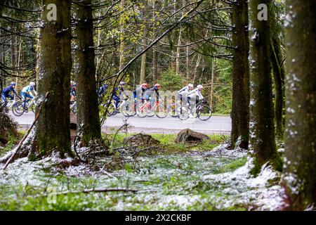 Liège, Belgique, 21 avril 2024,le peloton passant à travers des arbres enneigés Liege Bastonge Liège, Belgique, 21 avril 2024, Credit:Chris Wallis/Alamy Live News Banque D'Images