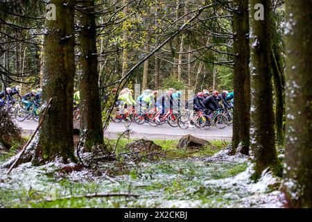 Liège, Belgique, 21 avril 2024,le peloton passant à travers des arbres enneigés Liege Bastonge Liège, Belgique, 21 avril 2024, Credit:Chris Wallis/Alamy Live News Banque D'Images