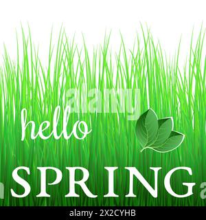 Phrase blanche Hello Spring sur herbe verte et avec des feuilles vertes. Illustration de Vecteur