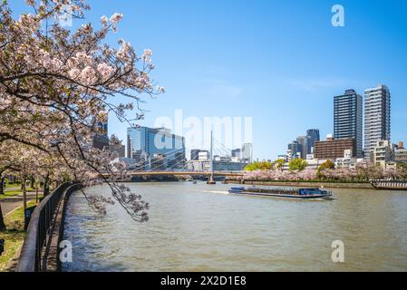 Parc Kema Sakuranomiya et pont Kawasakibashi avec cerisiers en fleurs à osaka, japon Banque D'Images