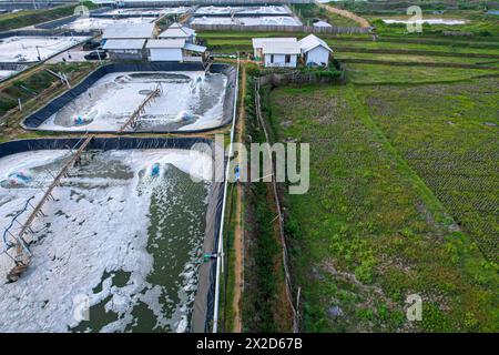 Photographie aérienne des fermes côtières de crevettes Banque D'Images