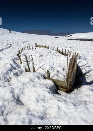 Côtes d’un vieux baleinier en bois sur l’île D’Hainault, le port de Mikkelsen, l’île Trinity, l’archipel Palmer, l’Antarctique Banque D'Images