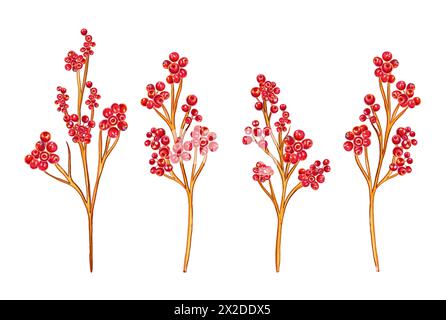 Baies d'hiver rouges sur un ensemble d'illustration de Noël aquarelle de branche. Brindilles de fruits brillantes, dessinées à la main pour la conception du nouvel an. Holly et Winter rowan. Banque D'Images