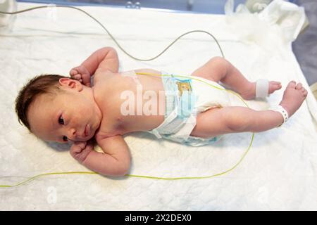 Bébé nouveau-né, la pédiatrie. Hospital Policlinica Gipuzkoa, San Sebastian, Donostia, Euskadi, Espagne Banque D'Images