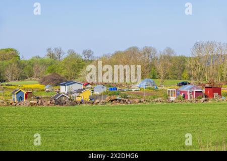 Hangars dans un jardin de lotissement sur un champ à la campagne Banque D'Images