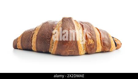 Croissant au chocolat fraîchement cuit isolé sur un fond blanc Banque D'Images