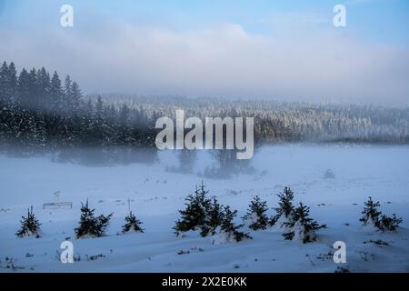 Kvilda, République tchèque. 22 avril 2024. Les météorologues ont mesuré moins 10, 6 degrés Celsius le matin du printemps 22 avril 2024 près de Kvilda dans la région de Sumava à Prachatice, qui est celle de la valeur la plus faible dans le pays aujourd'hui. Crédit : Vaclav Pancer/CTK photo/Alamy Live News Banque D'Images