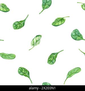 Motif aquarelle sans couture avec épinards à fleurs vertes feuillues. Illustration dessinée à la main Banque D'Images