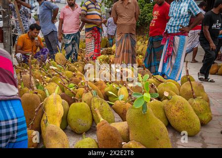 Beaucoup de jackfruit vert entier dans la rue. Banque D'Images