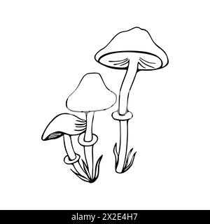 Illustration de la famille des champignons. Champignon toxique, tabouret. Doodle. Dessiné à la main. Vecteur isolé sur fond blanc. Banque D'Images