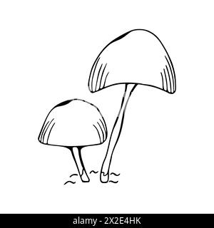 Illustration de la famille des champignons. Champignon toxique, tabouret. Doodle. Dessiné à la main. Vecteur isolé sur fond blanc. Banque D'Images