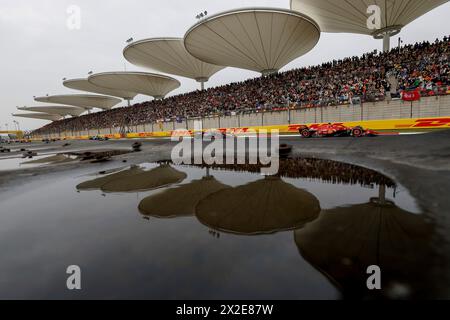 Shanghai, Chine. 21 avril 2024. #16 Charles Leclerc (MCO, Scuderia Ferrari), #11 Sergio Perez (MEX, Oracle Red Bull Racing), Grand Prix de F1 de Chine au circuit international de Shanghai le 21 avril 2024 à Shanghai, Chine. (Photo de HOCH Zwei) crédit : dpa/Alamy Live News Banque D'Images