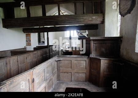 St David’s Church, Llangeview, Usk est un bâtiment classé principalement C15e Grade I dans les soins des amis des églises Frieless debout dans un presque circu Banque D'Images