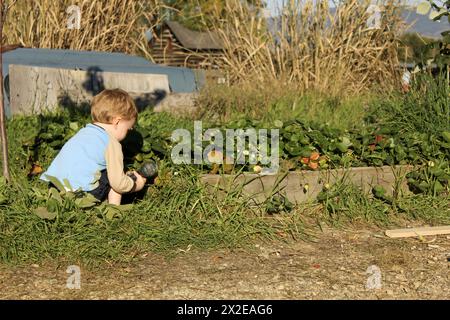 Jeune garçon immergé dans le jeu de jardin au coucher du soleil Banque D'Images