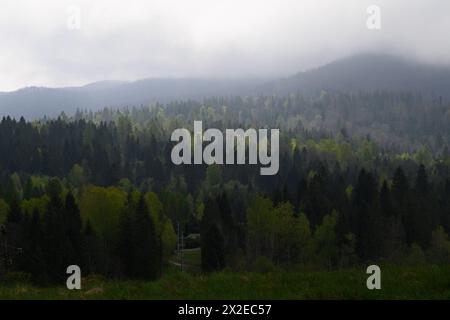 Parc national de Bieszczady dans le sud de la Pologne. Vue générale du parc national de Bieszczady dans le district administratif de Lutowiska du comté de Bieszczady, Pologne, le 21 avril 2024. Le parc national de Bieszczady est le troisième plus grand parc national de Pologne, situé dans la voïvodie sous-carpathique dans le sud-est du pays. En 2021, le parc national est devenu un site du patrimoine mondial de l'UNESCO en tant qu'extension des forêts de hêtres antiques et primitives des Carpates et d'autres régions d'Europe. Ustrzyki Gorne Lutowiska Pologne Copyright : xAleksanderxKalkax Banque D'Images