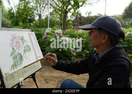 (240422) -- LUOYANG, 22 avril 2024 (Xinhua) -- Un peintre crée une peinture traditionnelle sur pivoine au jardin national des pivoines à Luoyang, province du Henan, en Chine centrale, le 16 avril 2024. Capitale impériale pendant 13 dynasties, Luoyang prétend avoir les meilleures pivoines du pays. Ces dernières années, Luoyang a activement exploré la culture liée aux fleurs de pivoine, encourageant le développement de la porcelaine sur le thème de pivoine, la peinture et de nombreuses autres activités caractéristiques contenant des éléments de pivoine. Cela permet aux touristes de profiter à la fois des fleurs et de l'ambiance de cette ancienne capitale. (Xinhua/Li Jianan) Banque D'Images