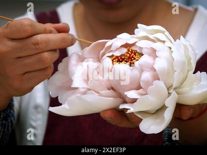 (240422) -- LUOYANG, 22 avril 2024 (Xinhua) -- Un membre du personnel fabrique un objet artisanal en porcelaine en forme de pivoine au Musée de porcelaine de pivoine de Luoyang à Luoyang, dans la province du Henan en Chine centrale, le 17 avril 2024. Capitale impériale pendant 13 dynasties, Luoyang prétend avoir les meilleures pivoines du pays. Ces dernières années, Luoyang a activement exploré la culture liée aux fleurs de pivoine, encourageant le développement de la porcelaine sur le thème de pivoine, la peinture et de nombreuses autres activités caractéristiques contenant des éléments de pivoine. Cela permet aux touristes de profiter à la fois des fleurs et de l'ambiance de cette ancienne capitale. (X Banque D'Images