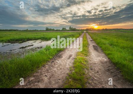 Vue d'un chemin de terre à travers des prairies verdoyantes humides et le ciel du coucher du soleil, soir de mai, Nowiny, Pologne Banque D'Images